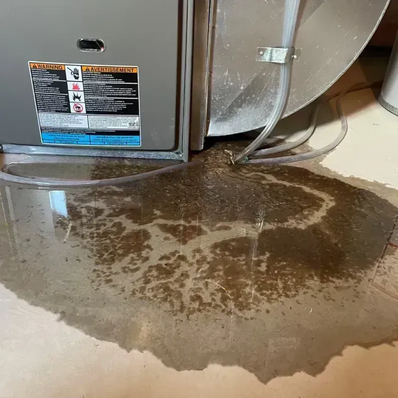 Appliance Leak Cleanup in Douglas County, MN